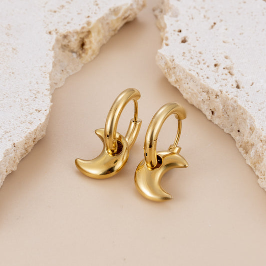Stainless Steel Moon Earrings